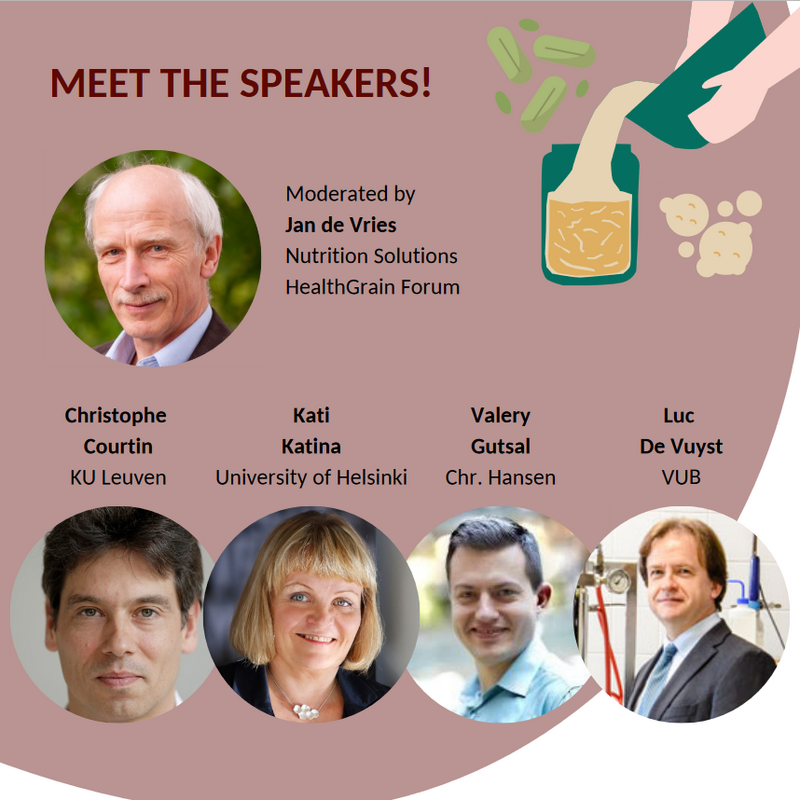 Next HealthFerm webinar: Microbiology and technology of sourdough production, 6 November 2024 (2:00-3:30pm CET)