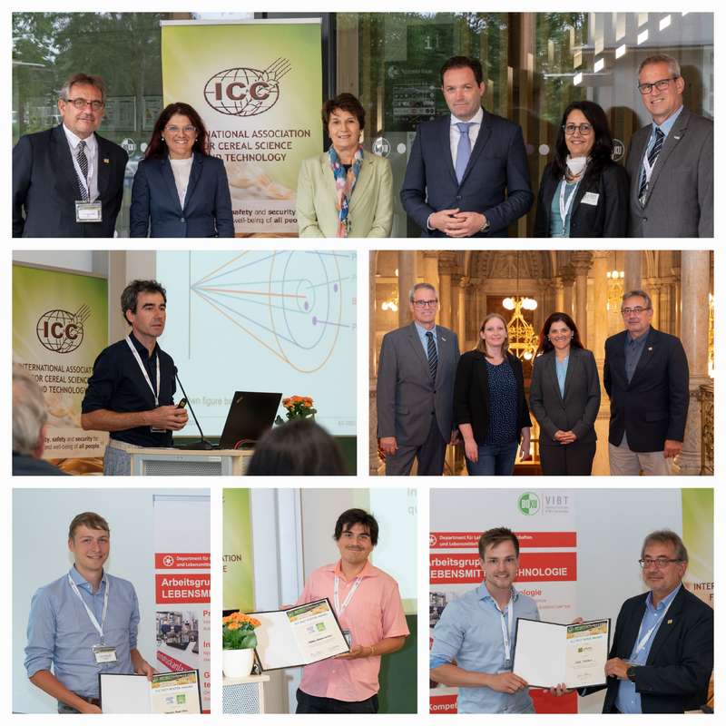 ICC2022 - Brief Report