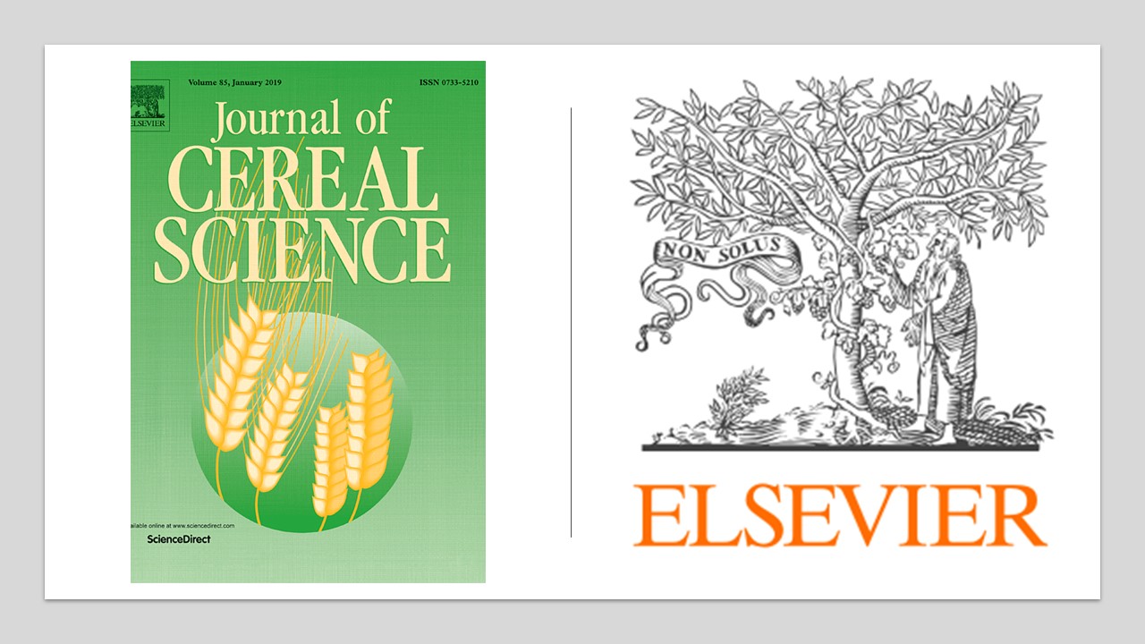 Journal of Cereal Science Special Issue Published