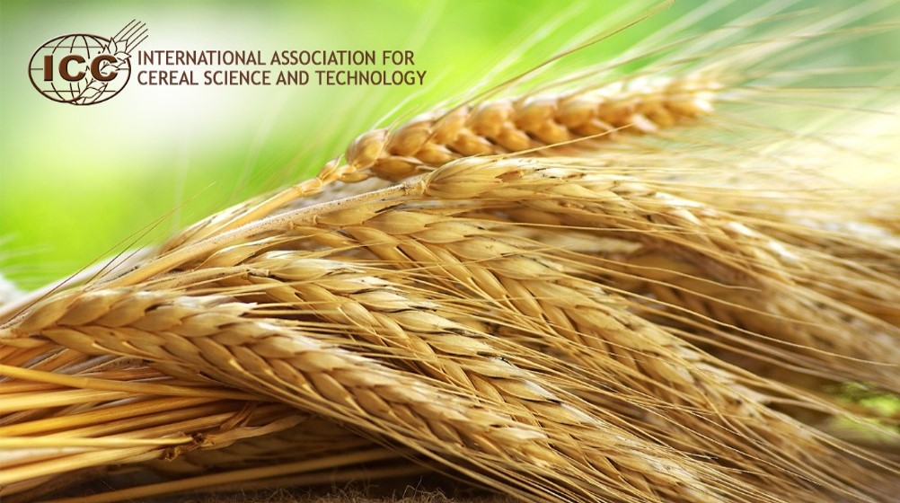 Press Release: The Best Dietary Change According to Experts? Switching to Whole Grains